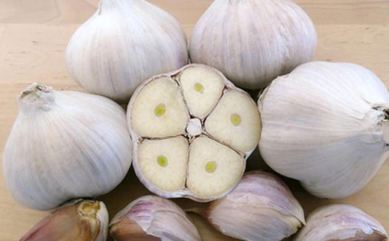 Romanian Red Garlic